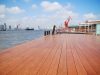 accoya-4